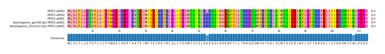 Multiple Alignments (by translate haplotype similarity)