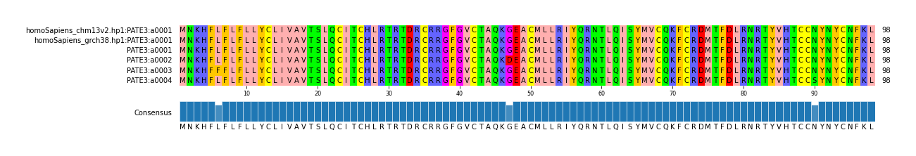 Multiple Alignments (by translate haplotype frequency)