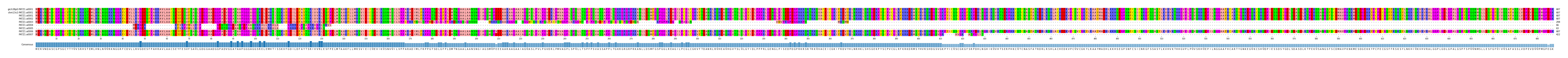 Multiple Alignments (by translate haplotype frequency)
