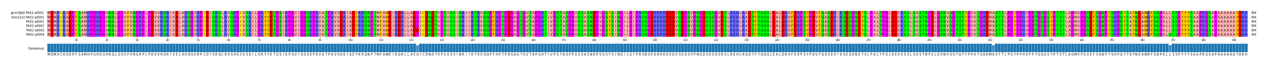 Multiple Alignments (by translate haplotype frequency)