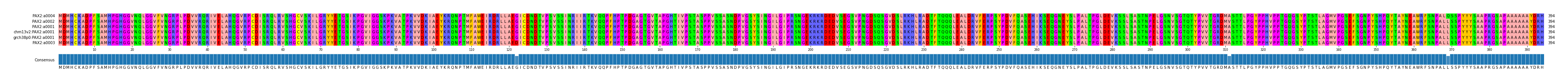 Multiple Alignments (by translate haplotype similarity)