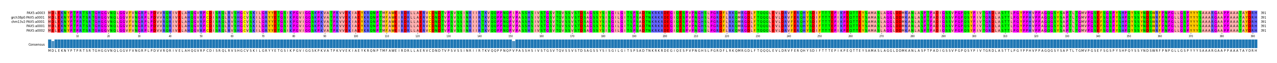 Multiple Alignments (by translate haplotype similarity)
