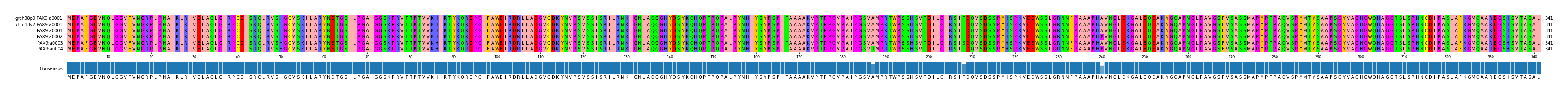 Multiple Alignments (by translate haplotype frequency)