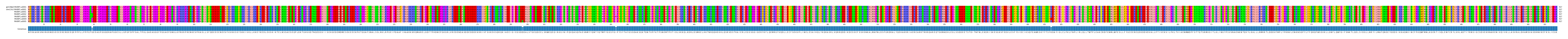 Multiple Alignments (by translate haplotype frequency)