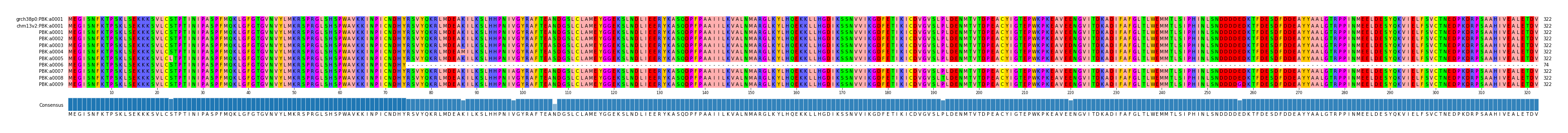 Multiple Alignments (by translate haplotype frequency)