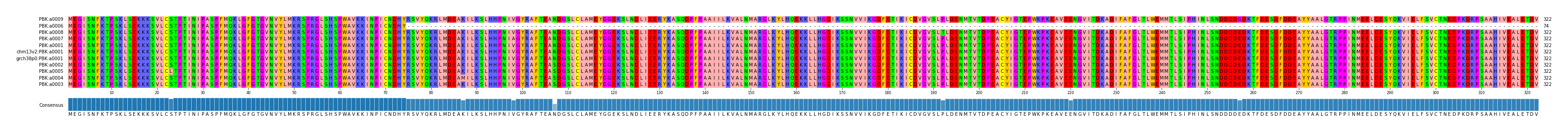 Multiple Alignments (by translate haplotype similarity)