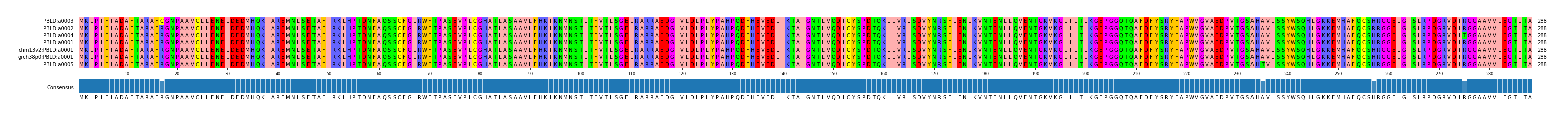 Multiple Alignments (by translate haplotype similarity)