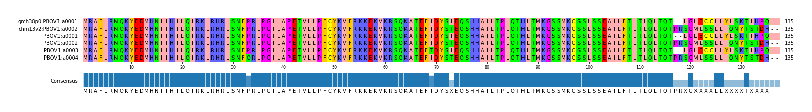 Multiple Alignments (by translate haplotype frequency)