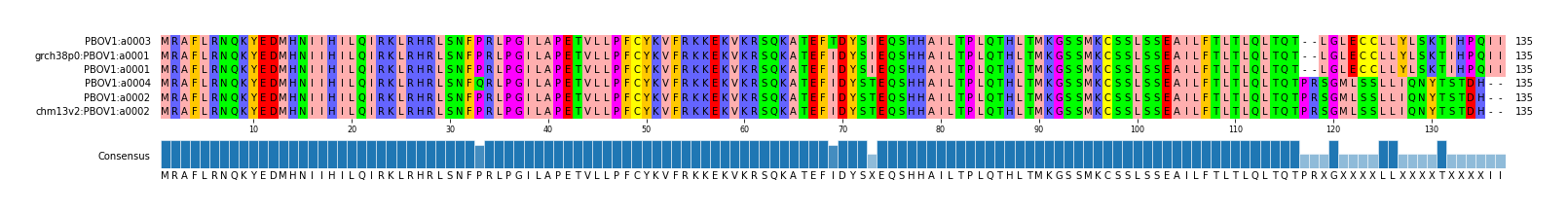 Multiple Alignments (by translate haplotype similarity)