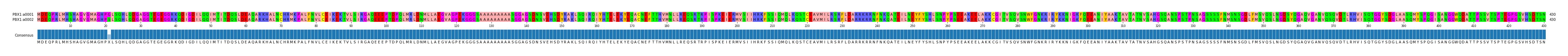 Multiple Alignments (by translate haplotype frequency)