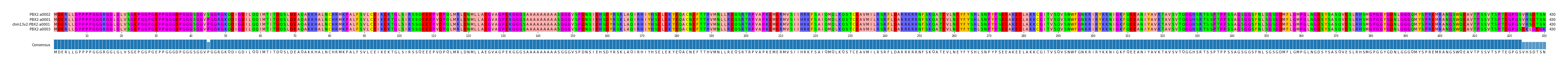 Multiple Alignments (by translate haplotype similarity)