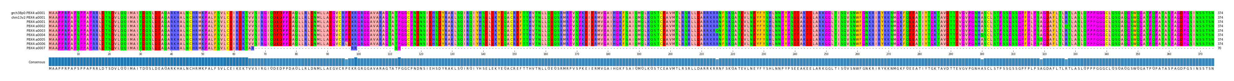 Multiple Alignments (by translate haplotype frequency)