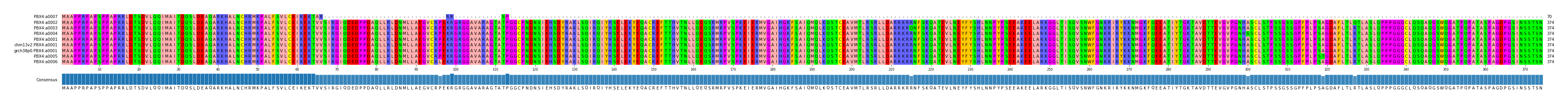 Multiple Alignments (by translate haplotype similarity)