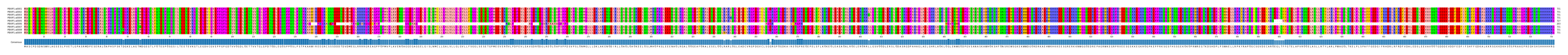 Multiple Alignments (by translate haplotype frequency)