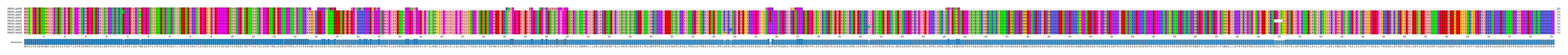 Multiple Alignments (by translate haplotype similarity)