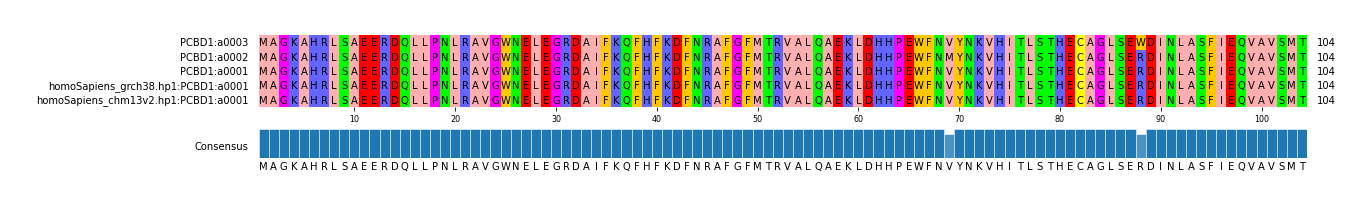 Multiple Alignments (by translate haplotype similarity)