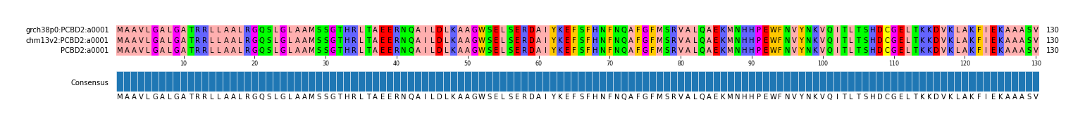 Multiple Alignments (by translate haplotype similarity)