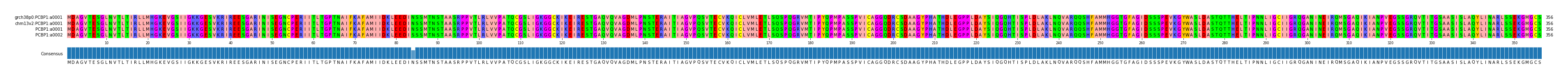 Multiple Alignments (by translate haplotype similarity)