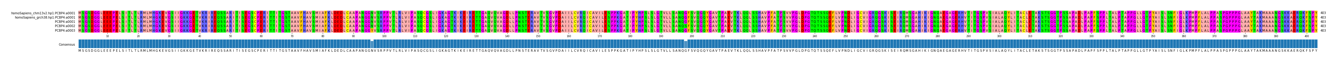 Multiple Alignments (by translate haplotype frequency)