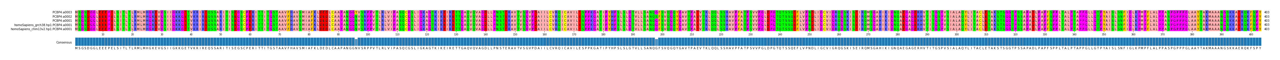 Multiple Alignments (by translate haplotype similarity)