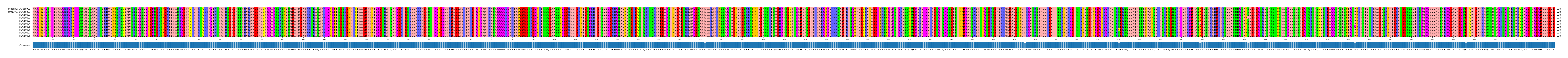 Multiple Alignments (by translate haplotype frequency)
