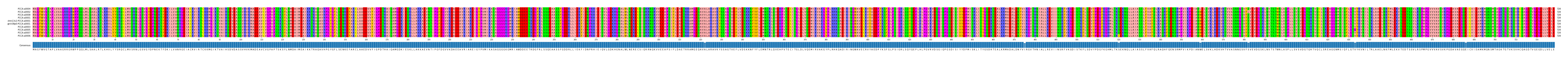 Multiple Alignments (by translate haplotype similarity)