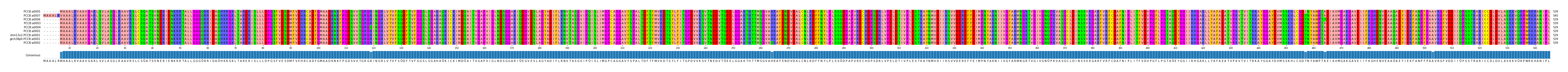 Multiple Alignments (by translate haplotype similarity)