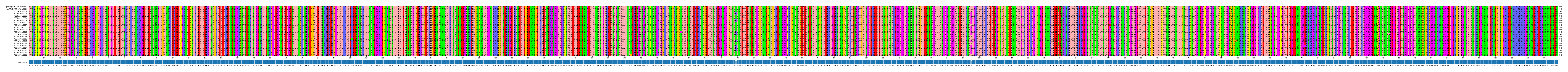 Multiple Alignments (by translate haplotype frequency)