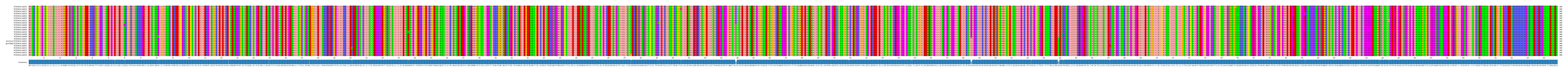 Multiple Alignments (by translate haplotype similarity)