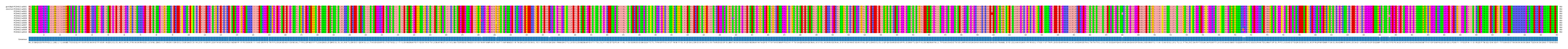 Multiple Alignments (by translate haplotype frequency)