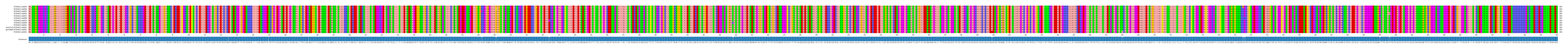 Multiple Alignments (by translate haplotype similarity)