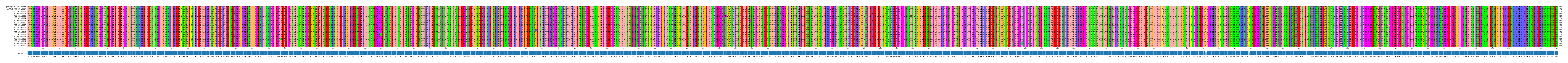 Multiple Alignments (by translate haplotype frequency)
