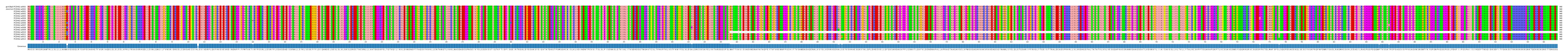 Multiple Alignments (by translate haplotype frequency)
