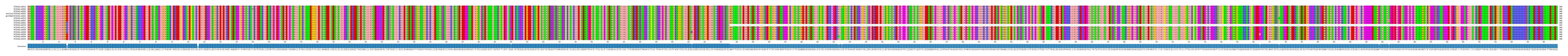 Multiple Alignments (by translate haplotype similarity)