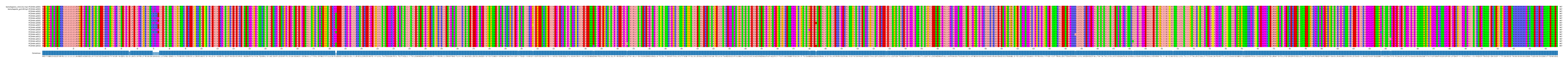 Multiple Alignments (by translate haplotype frequency)