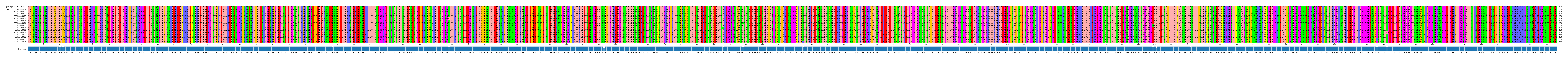 Multiple Alignments (by translate haplotype frequency)
