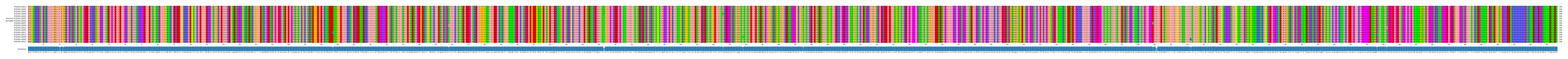 Multiple Alignments (by translate haplotype similarity)