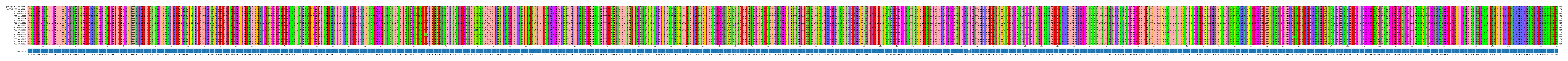 Multiple Alignments (by translate haplotype frequency)