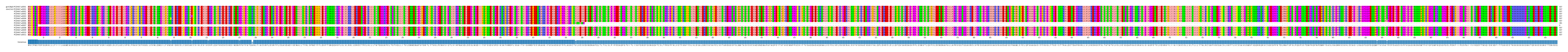 Multiple Alignments (by translate haplotype frequency)