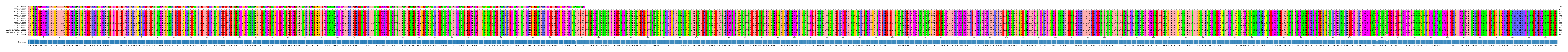 Multiple Alignments (by translate haplotype similarity)