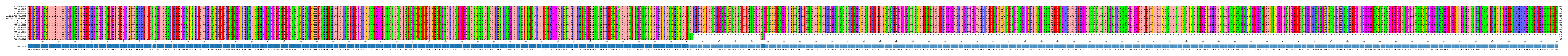 Multiple Alignments (by translate haplotype similarity)