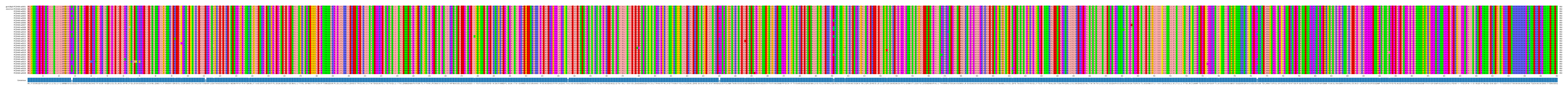 Multiple Alignments (by translate haplotype frequency)
