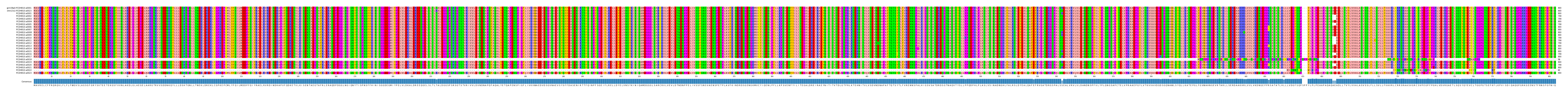 Multiple Alignments (by translate haplotype frequency)