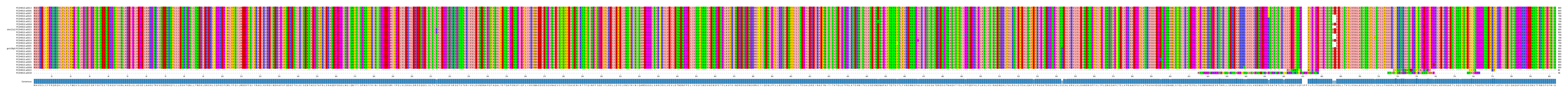 Multiple Alignments (by translate haplotype similarity)