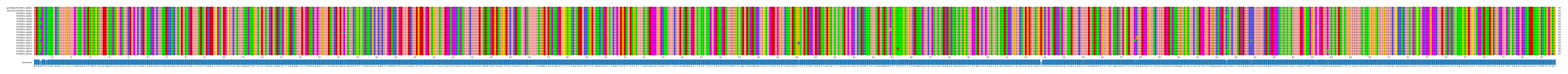 Multiple Alignments (by translate haplotype frequency)