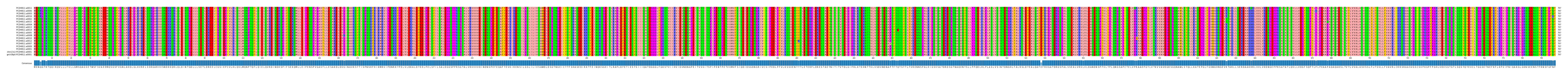 Multiple Alignments (by translate haplotype similarity)