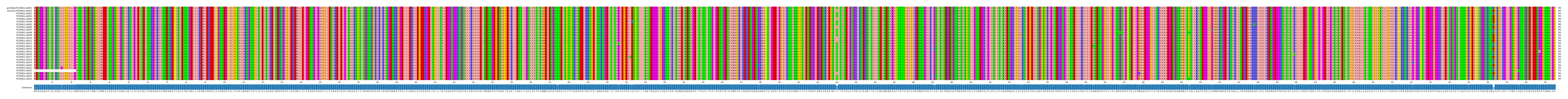 Multiple Alignments (by translate haplotype frequency)