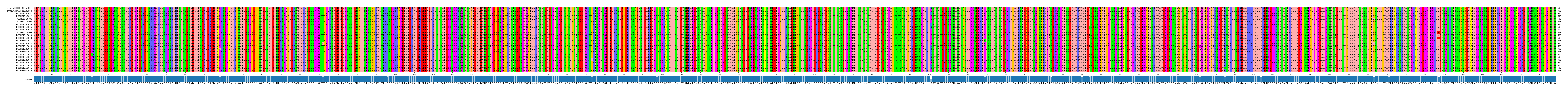 Multiple Alignments (by translate haplotype frequency)