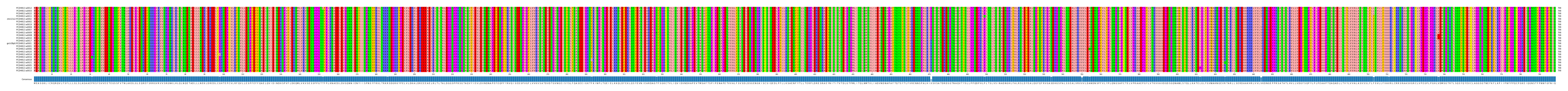 Multiple Alignments (by translate haplotype similarity)
