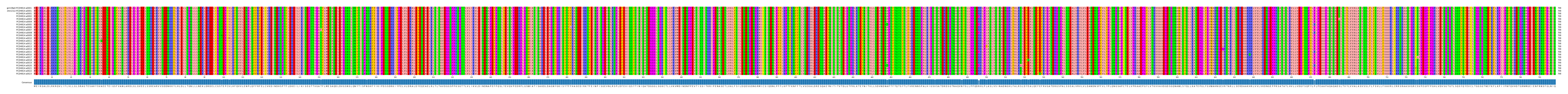 Multiple Alignments (by translate haplotype frequency)